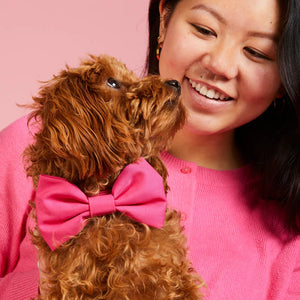 Hot Pink Dog Bow Tie
