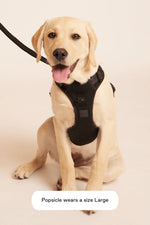 Load image into Gallery viewer, Maxbone Black Easy Fit Harness
