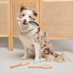 Load image into Gallery viewer, Wooden Vegan and Nylon Dog Brush
