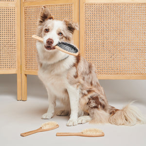 Wooden Vegan and Nylon Dog Brush