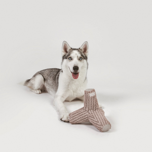 Taupe Breuer | Squeaky and Crinkly Toy