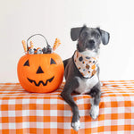 Load image into Gallery viewer, Tricks for Treats Dog Reversible Bandana
