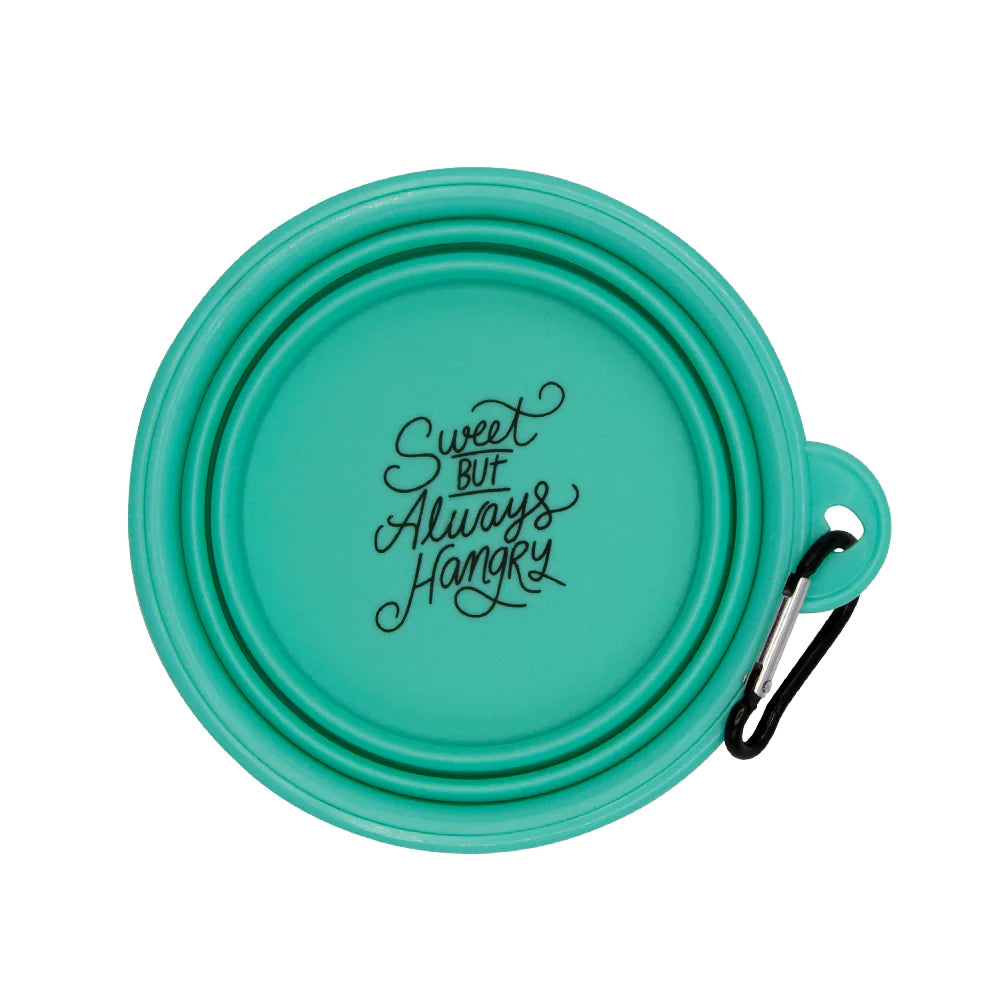 Teal 'Sweet, but Always Hangry' Collapsible Dog Bowl