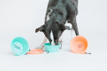 Load image into Gallery viewer, Teal &#39;Sweet, but Always Hangry&#39; Collapsible Dog Bowl
