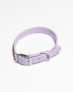 Load image into Gallery viewer, Wild One Lilac Collar
