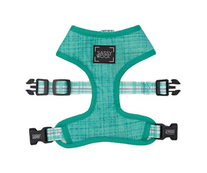 Wag Your Teal Reversible Dog Harness