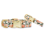 Load image into Gallery viewer, Peaches and Cream Dog Collar
