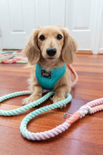 Load image into Gallery viewer, Wag Your Teal Reversible Dog Harness
