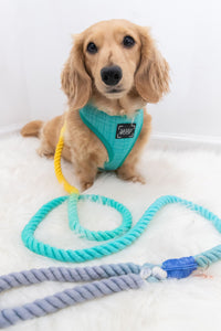 Wag Your Teal Reversible Dog Harness
