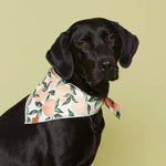 Load image into Gallery viewer, Peaches and Cream Dog Bandana
