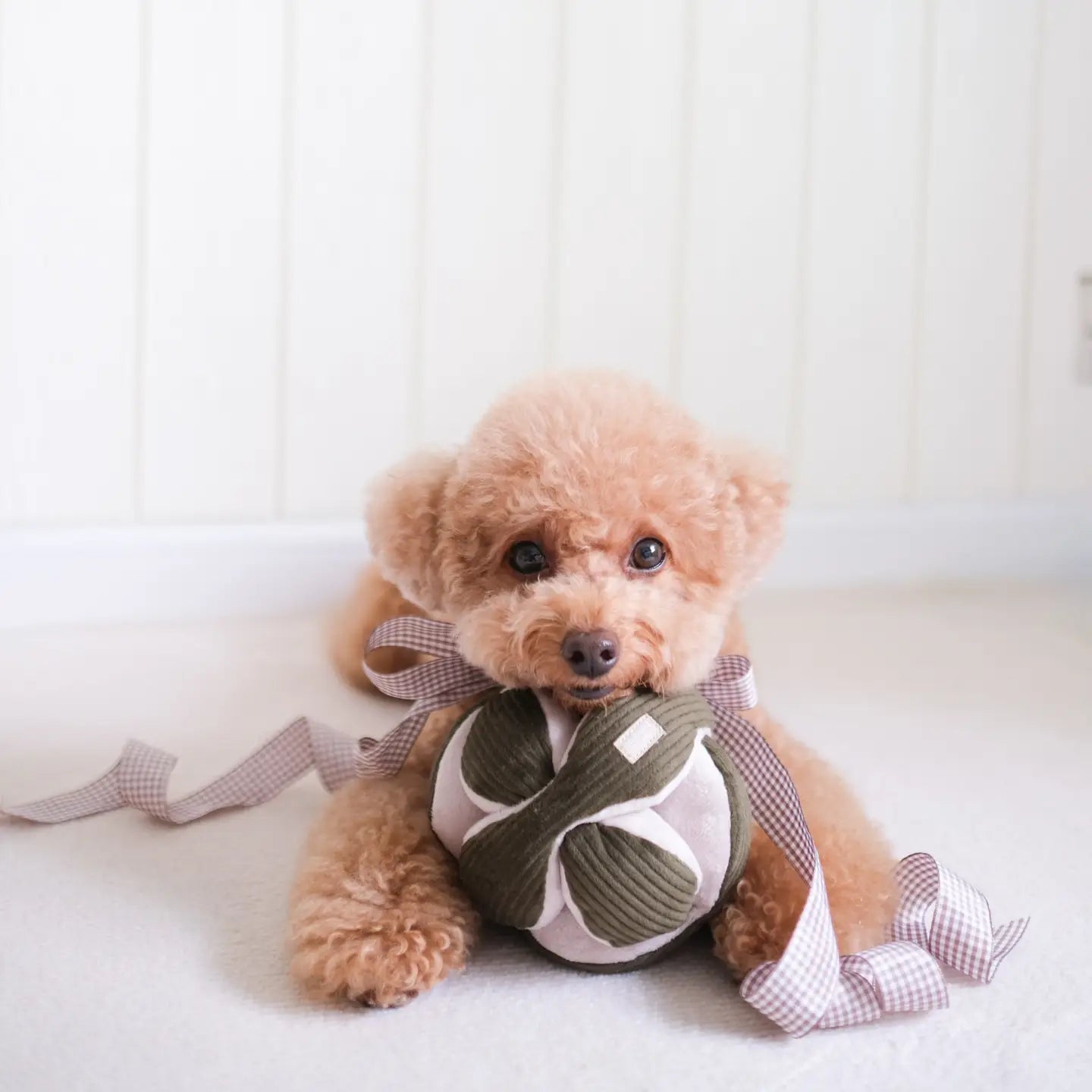 Pine Monti | Enrichment Dog Toy