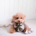 Load image into Gallery viewer, Pine Monti | Enrichment Dog Toy
