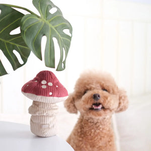 Shroom