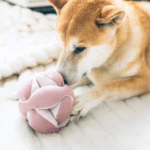 Blush Monti | Enrichment Dog Toy