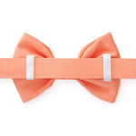 Load image into Gallery viewer, Mango Dog Bow Tie
