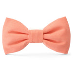 Load image into Gallery viewer, Mango Dog Bow Tie
