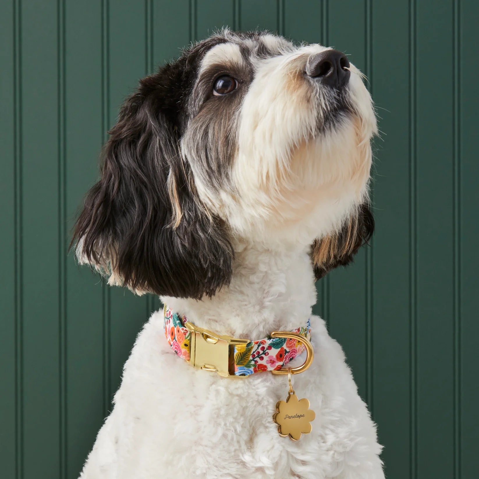 Garden Party Dog Collar