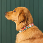 Load image into Gallery viewer, Garden Party Dog Collar
