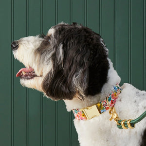 Garden Party Dog Collar