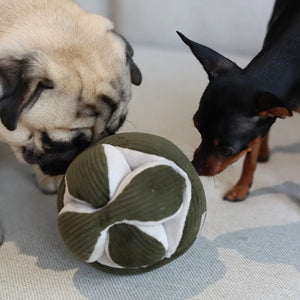 Pine Monti | Enrichment Dog Toy