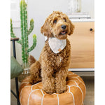 Load image into Gallery viewer, Flax Lines Dog Bandana
