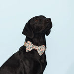 Load image into Gallery viewer, Peaches and Cream Dog Bow Tie

