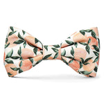Load image into Gallery viewer, Peaches and Cream Dog Bow Tie
