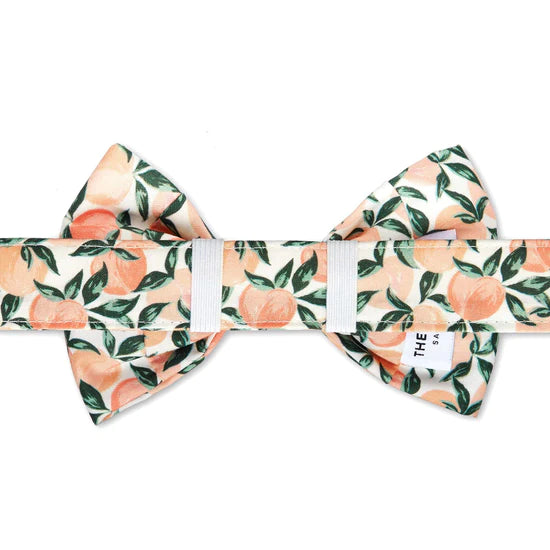 Peaches and Cream Dog Bow Tie