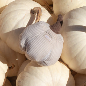 BOO | Snuffle Pumpkin