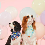 Load image into Gallery viewer, Reversible Birthday Dog Bandana
