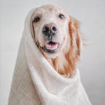 Load image into Gallery viewer, Cream Baby Fleece Towel
