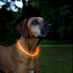 Load image into Gallery viewer, Orange LED Dog Necklace
