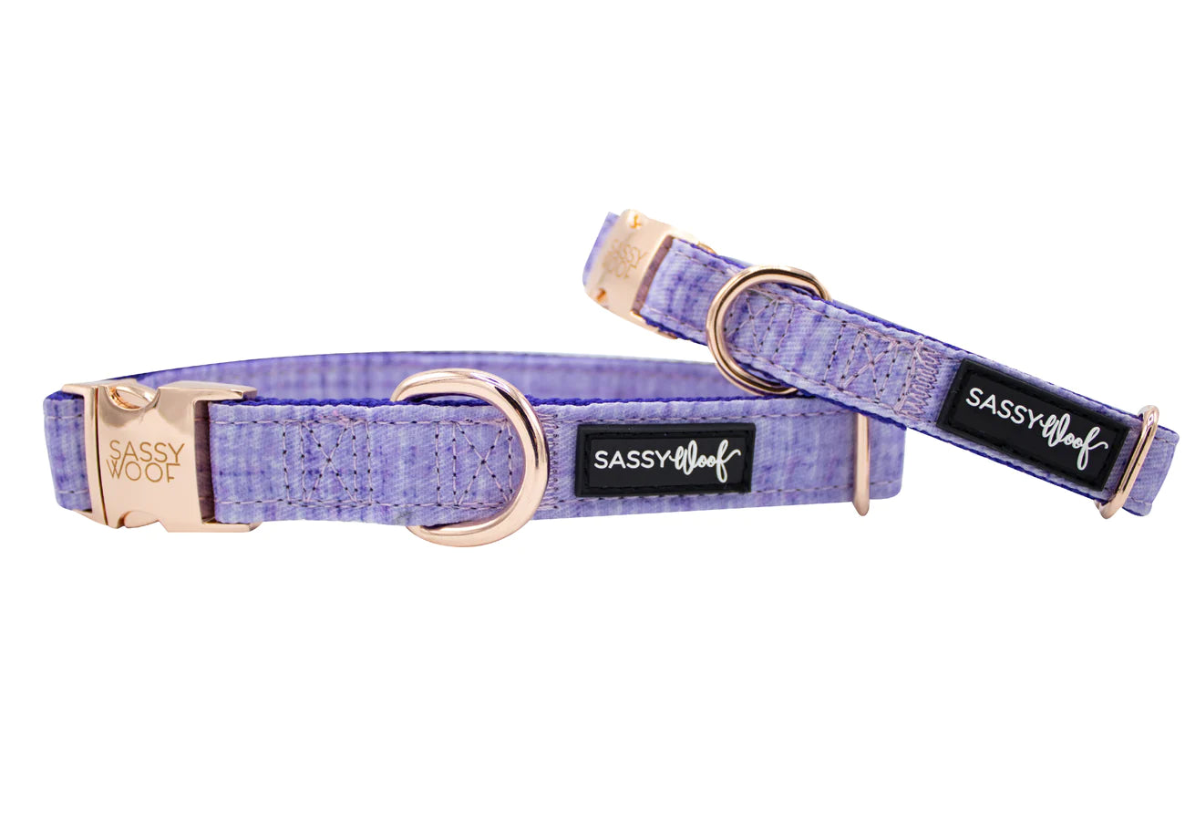 Aurora Dog Collar