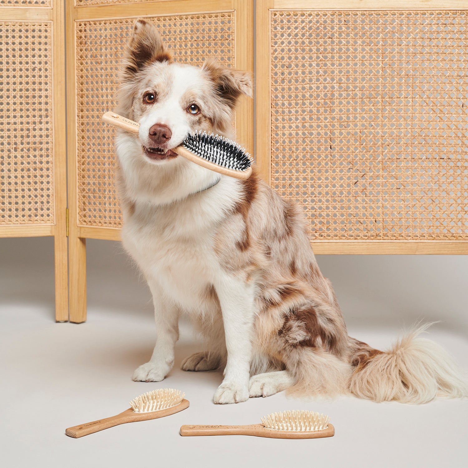 Wooden Vegan and Nylon Dog Brush
