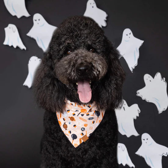 Tricks for Treats Dog Reversible Bandana