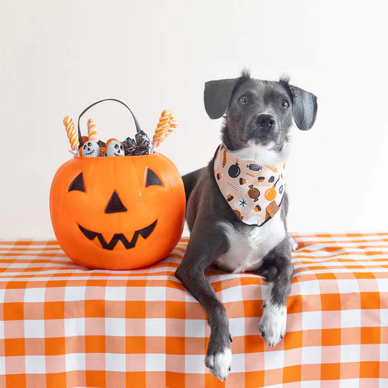 Tricks for Treats Dog Reversible Bandana