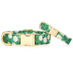 Load image into Gallery viewer, Coming up Daisies Dog Collar

