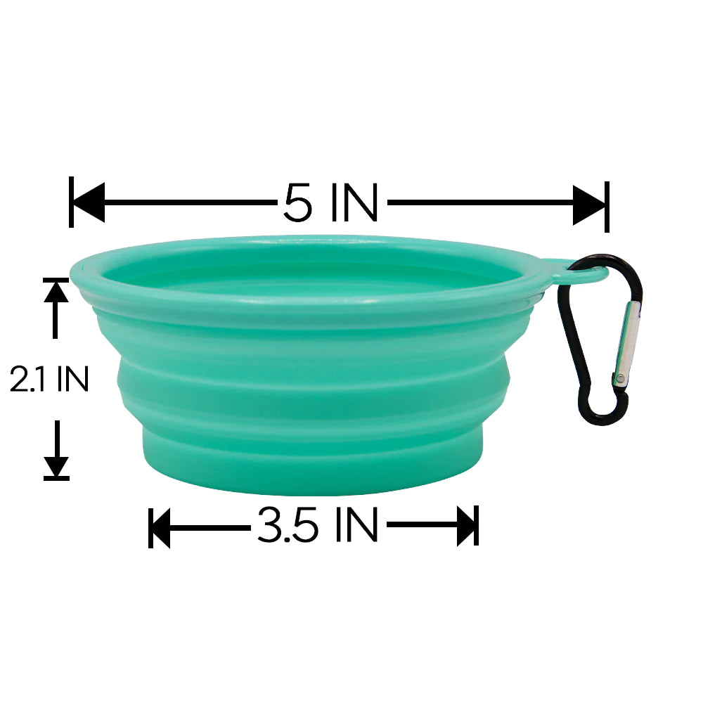 Teal 'It's 5 o'clock Somewhere' Collapsible Dog Bowl