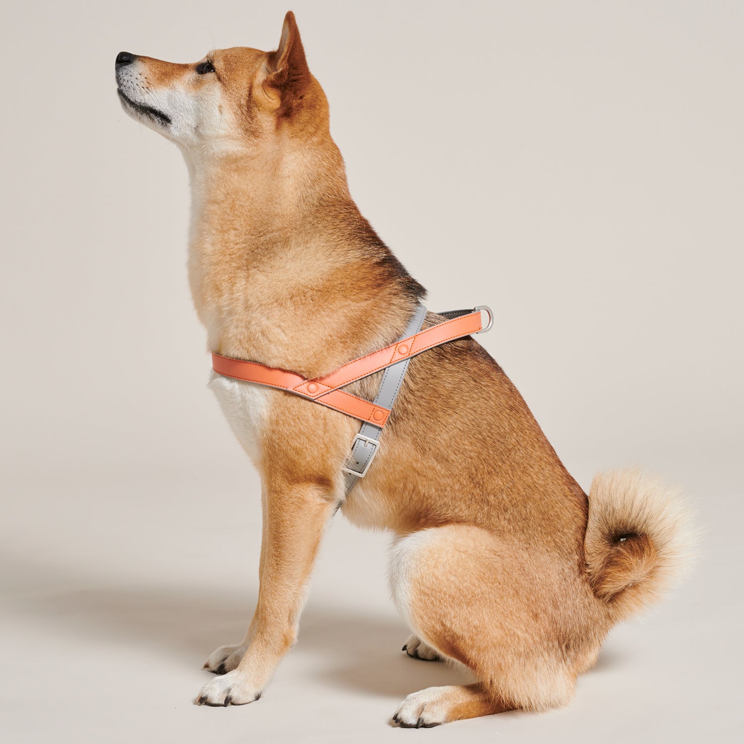 Coral Vegan Leather Harness