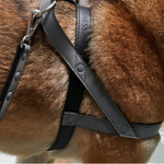 Load image into Gallery viewer, Grey Vegan Leather Harness
