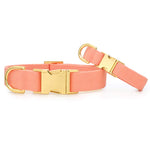 Load image into Gallery viewer, Mango Dog Collar
