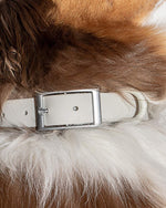 Load image into Gallery viewer, Wild One Grey Collar
