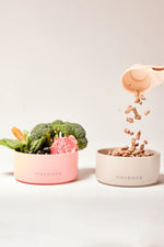 Load image into Gallery viewer, Pink Maxbone Ceramic Bowl
