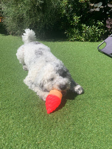 Ice Cream Cone Freeze Dog Toy
