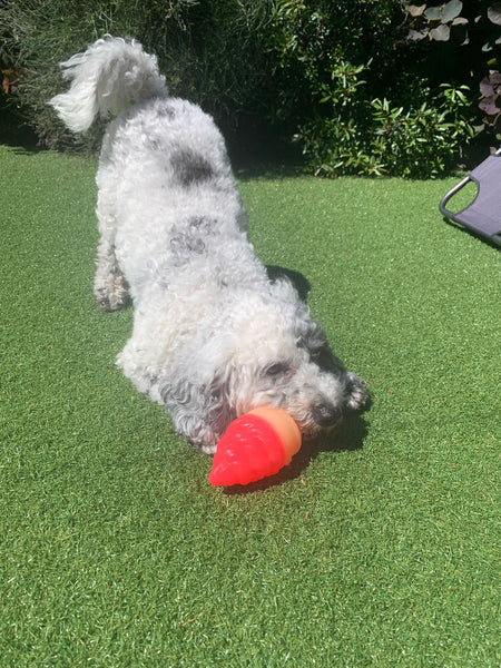 Ice cream dog sales toy