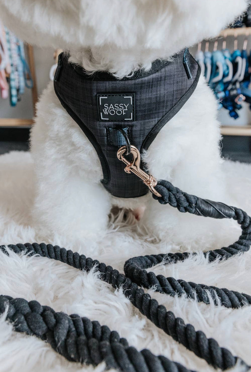 ‘Baby got Black’ Adjustable Dog Harness