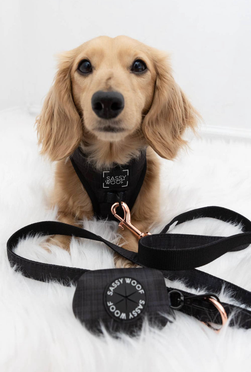 ‘Baby got Black’ Adjustable Dog Harness