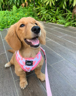 Load image into Gallery viewer, Dolce Rose Reversible Dog Harness
