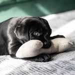 Load image into Gallery viewer, Pluto Bone Dog Toy in Recycled Sand
