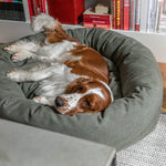 Load image into Gallery viewer, Classic Nest Denjo Doughnut Bed in Desert Green
